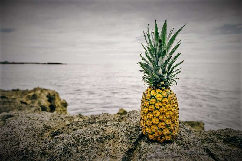 pineapple by the seaside 800