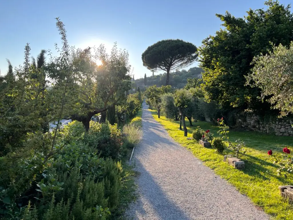 Avignonesi Winery