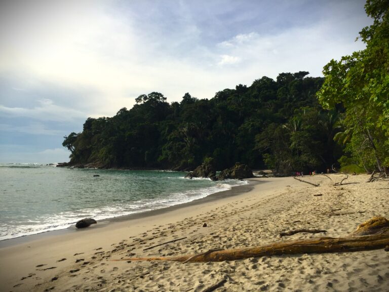 Beach of Manuel Antonio National Park Costa Rica