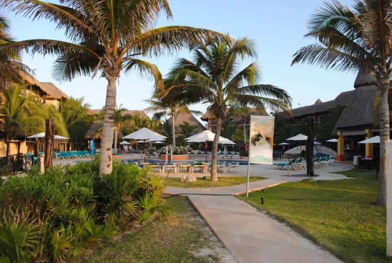 a pool with palm trees and umbrellas