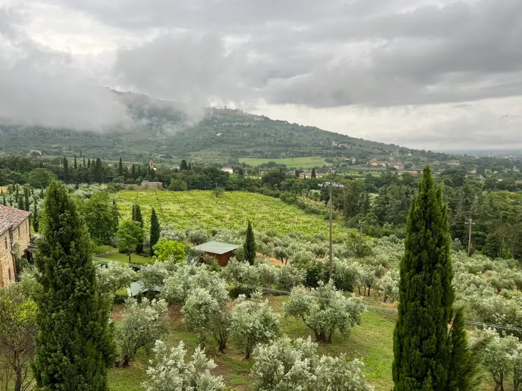 Cortona from Il Falconiere