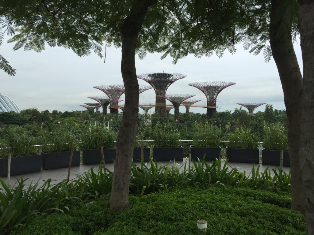 Gardens By The Bay Singapore