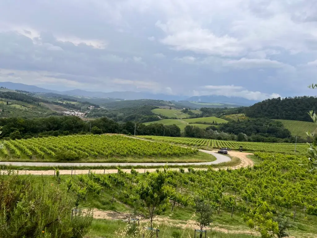 Luiano Winery Tuscan Wine Region