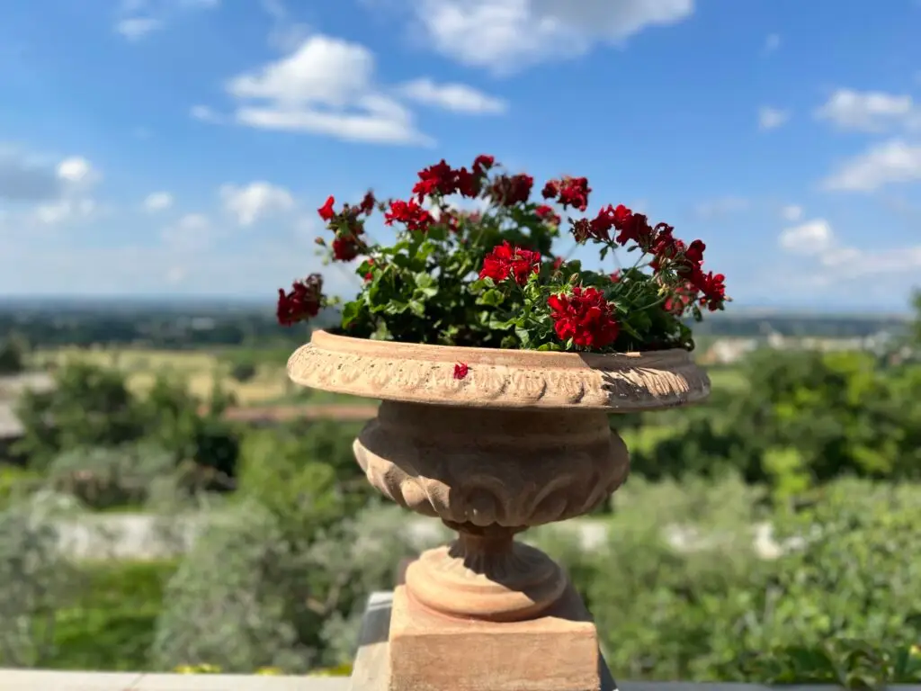 Tuscan Countryside