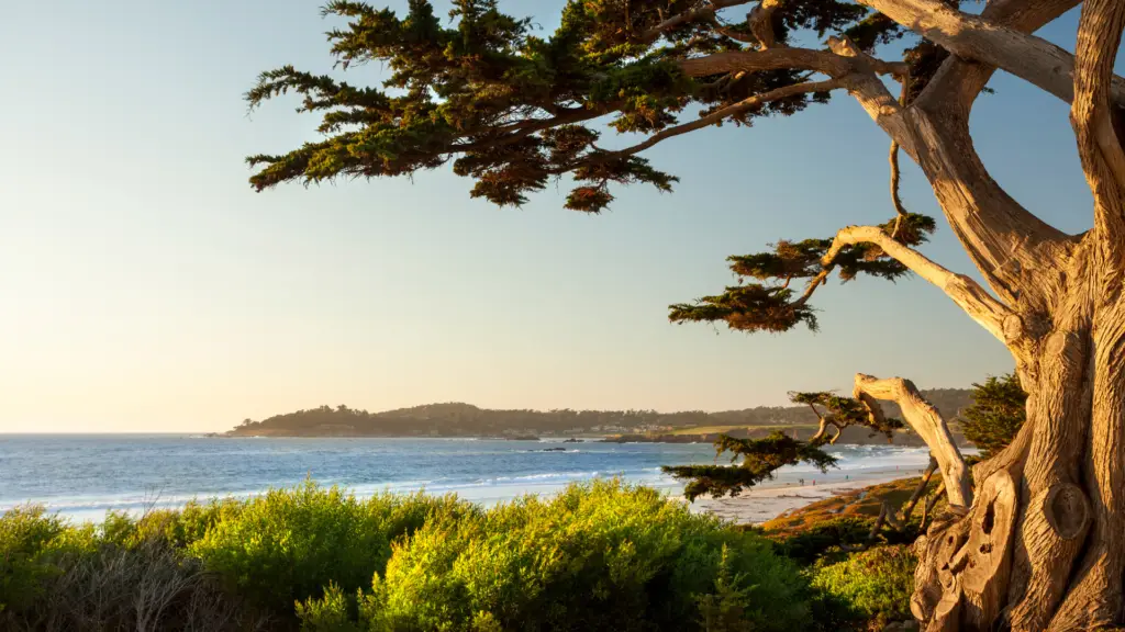 Carmel By The Sea