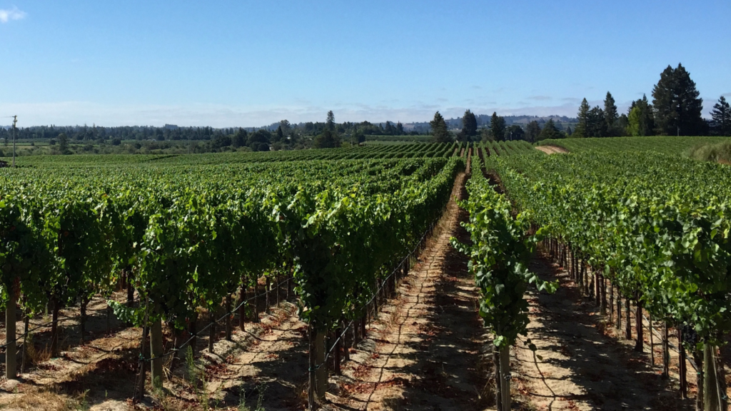 Russian River Valley California