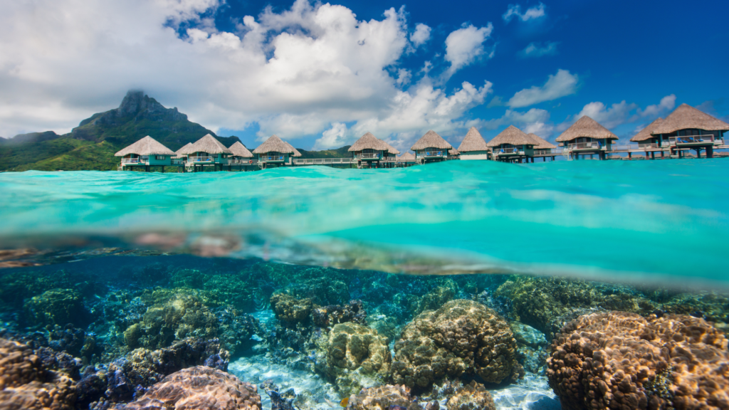 Bora Bora underwater