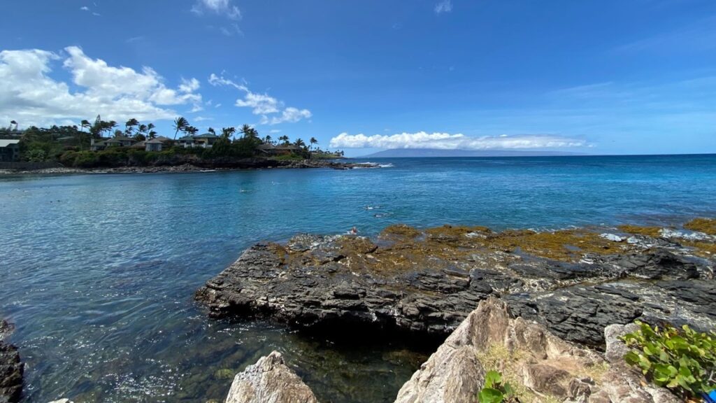 Maui Snorkeling