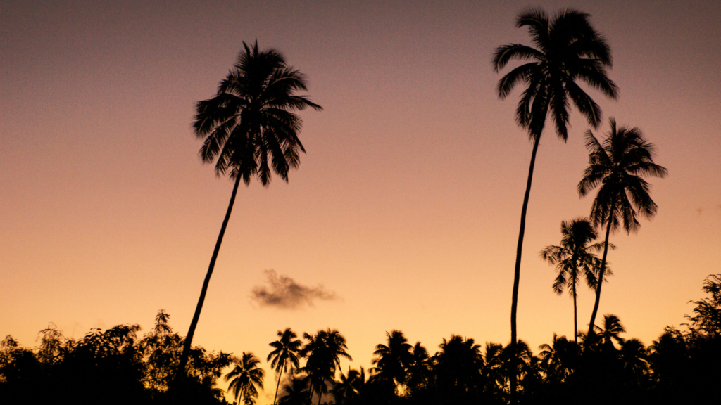 Moorea Sunset