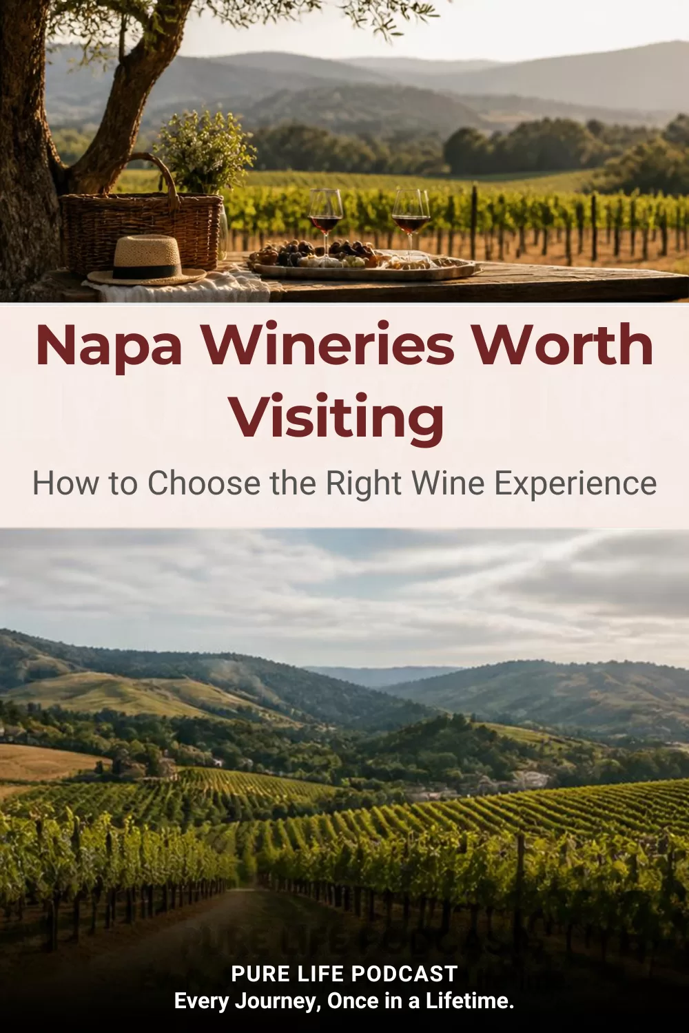 How to Choose the Right Wine Experience