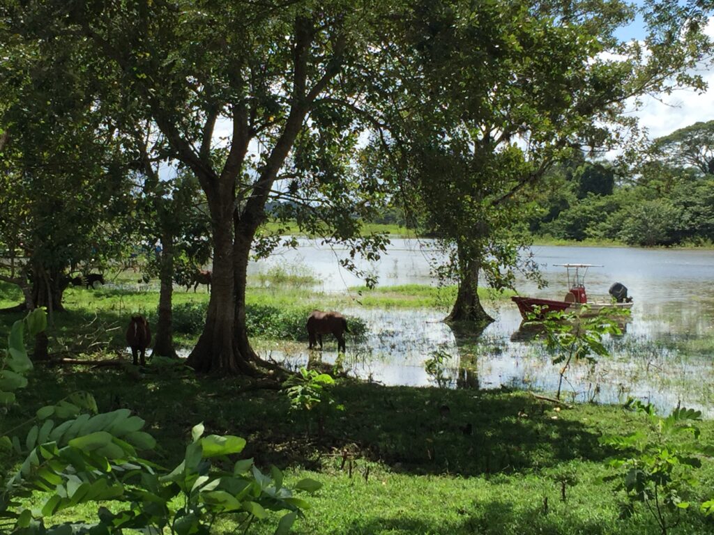 River Costa Rica