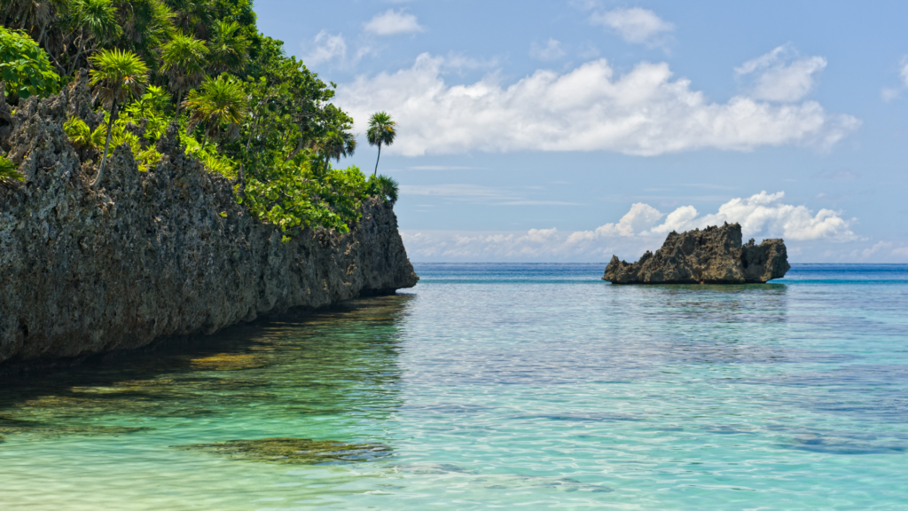 Roatan Honduras Coral Reef
