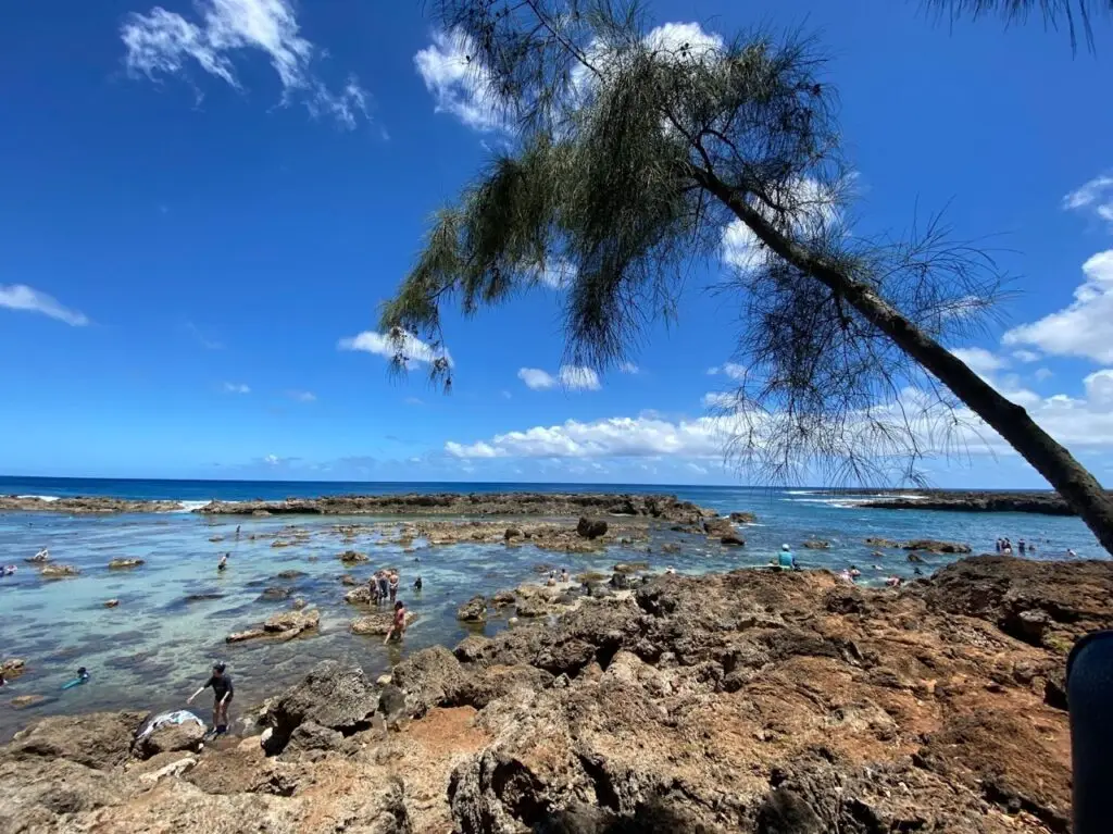 Sharks Cove Oahu