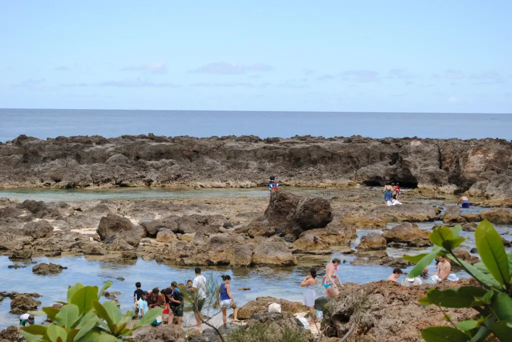 Shark’s Cove Oahu