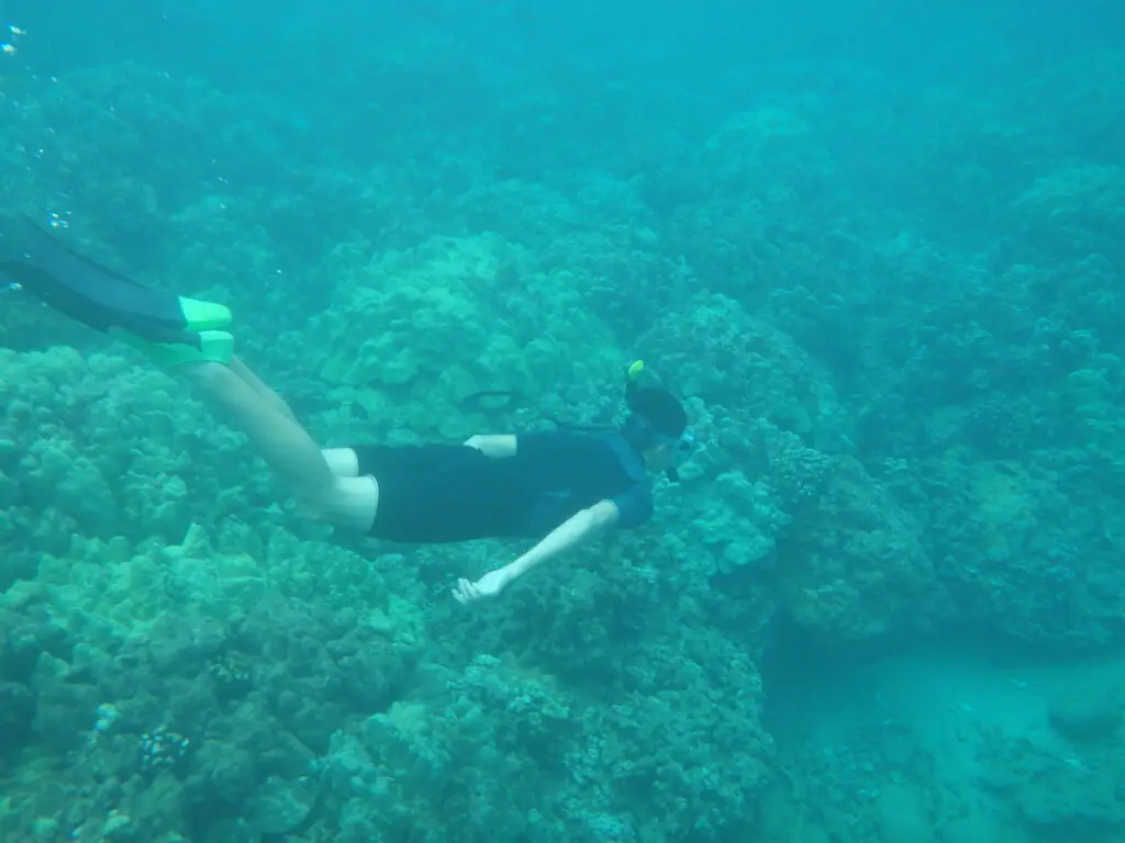 Snorkeling Hawaii