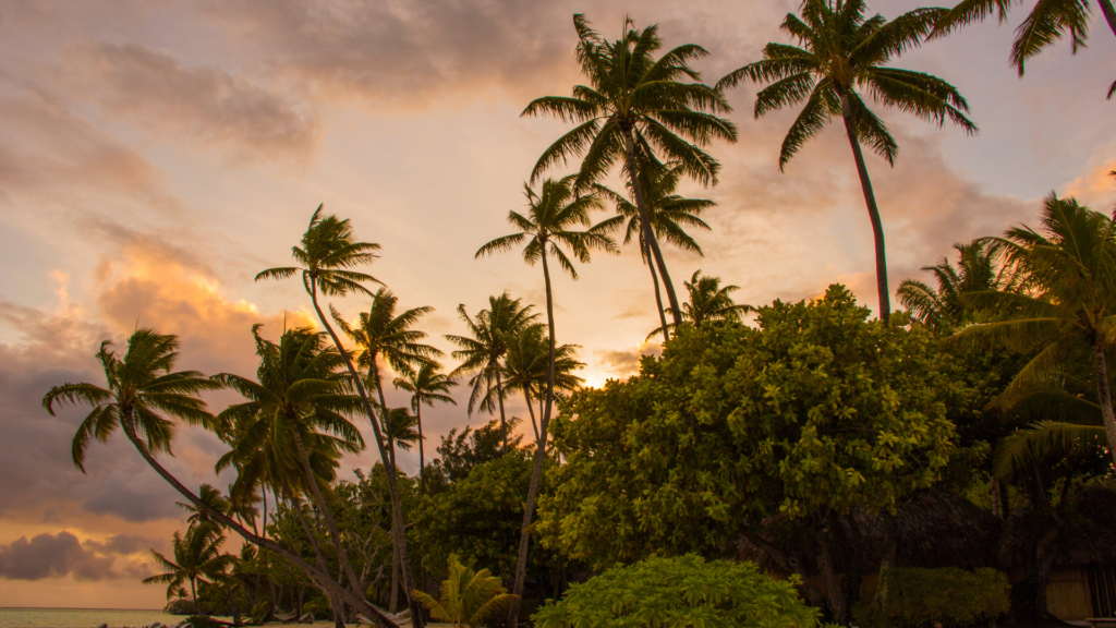 Tahitian Sunrise