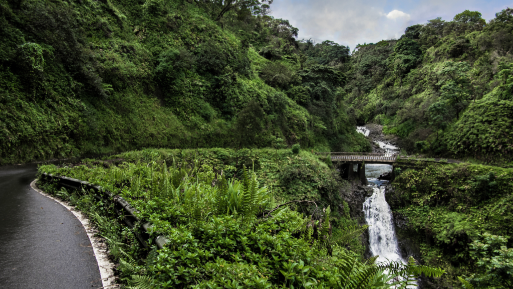 Road to Hana Maui