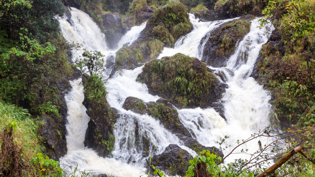 Waterfall on Hana Highway