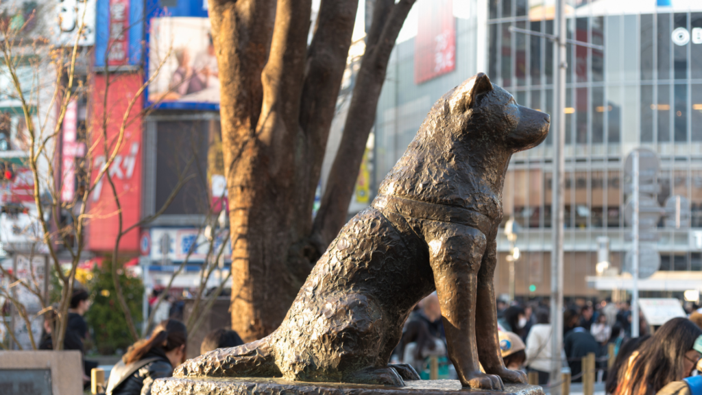 Hachiko Statue Shibuya