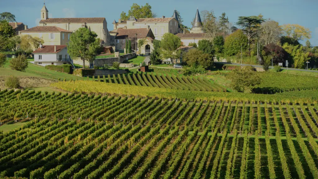 Vineyards France