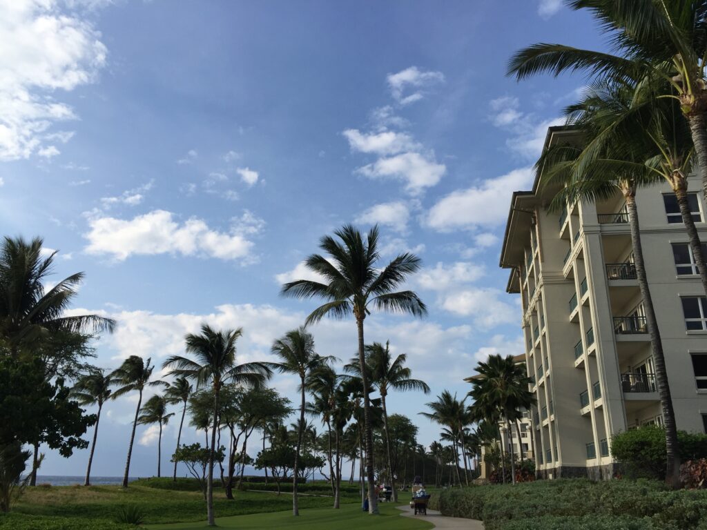 Westin Kanapali Grounds Maui