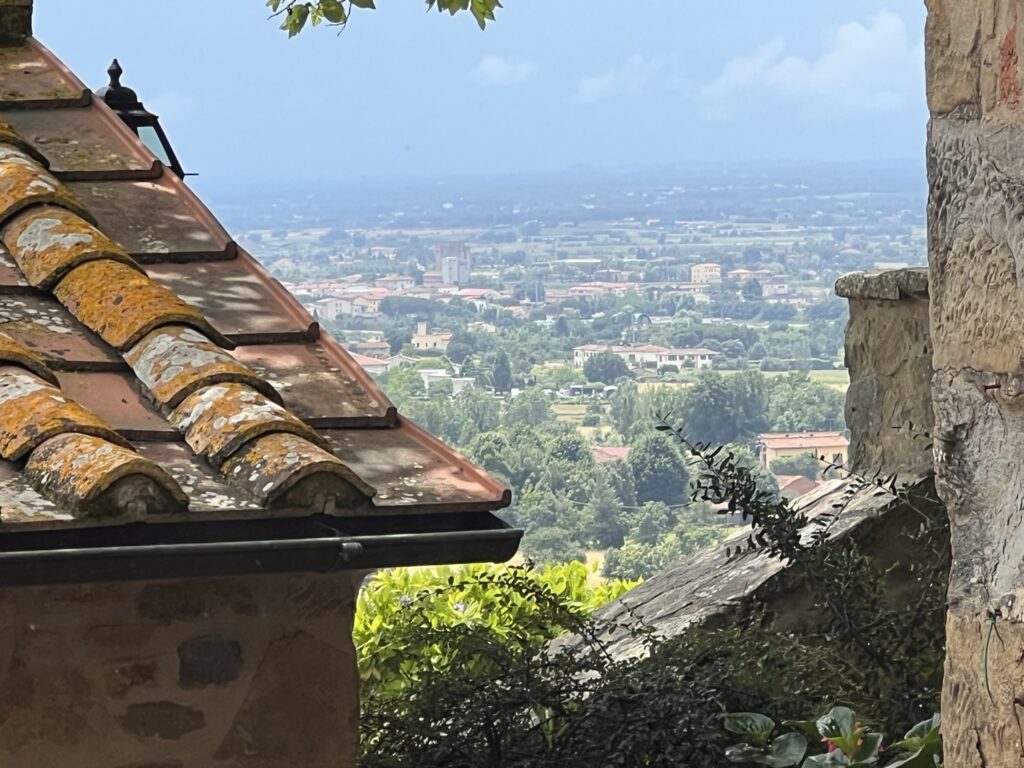 Cortona Hills