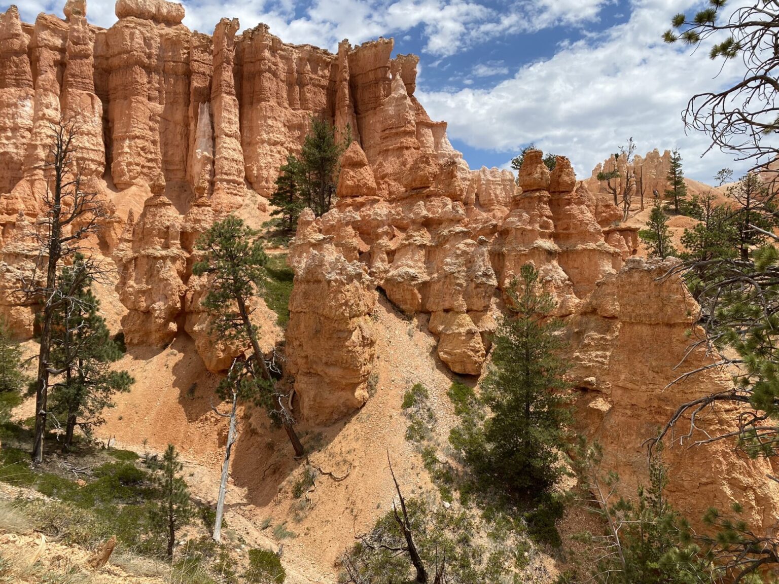 Hoodoos of Bryce Canyon Utah