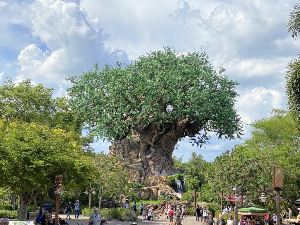 Disney Tree of Life Animal Kingdom