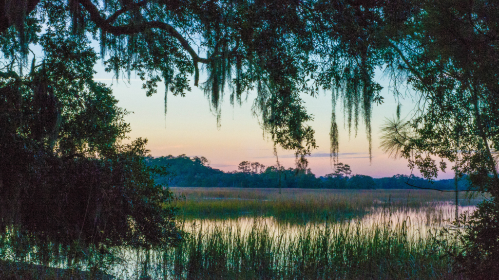 South Carolina Sunset