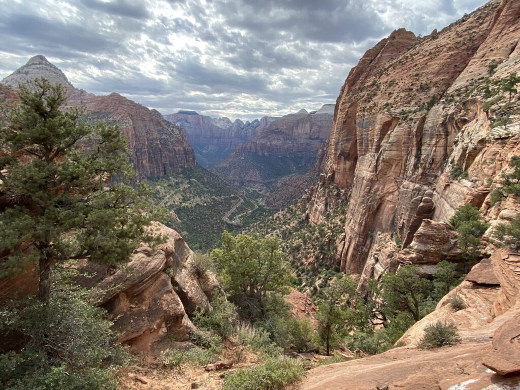 Zion National Park Pine Creek Canyon