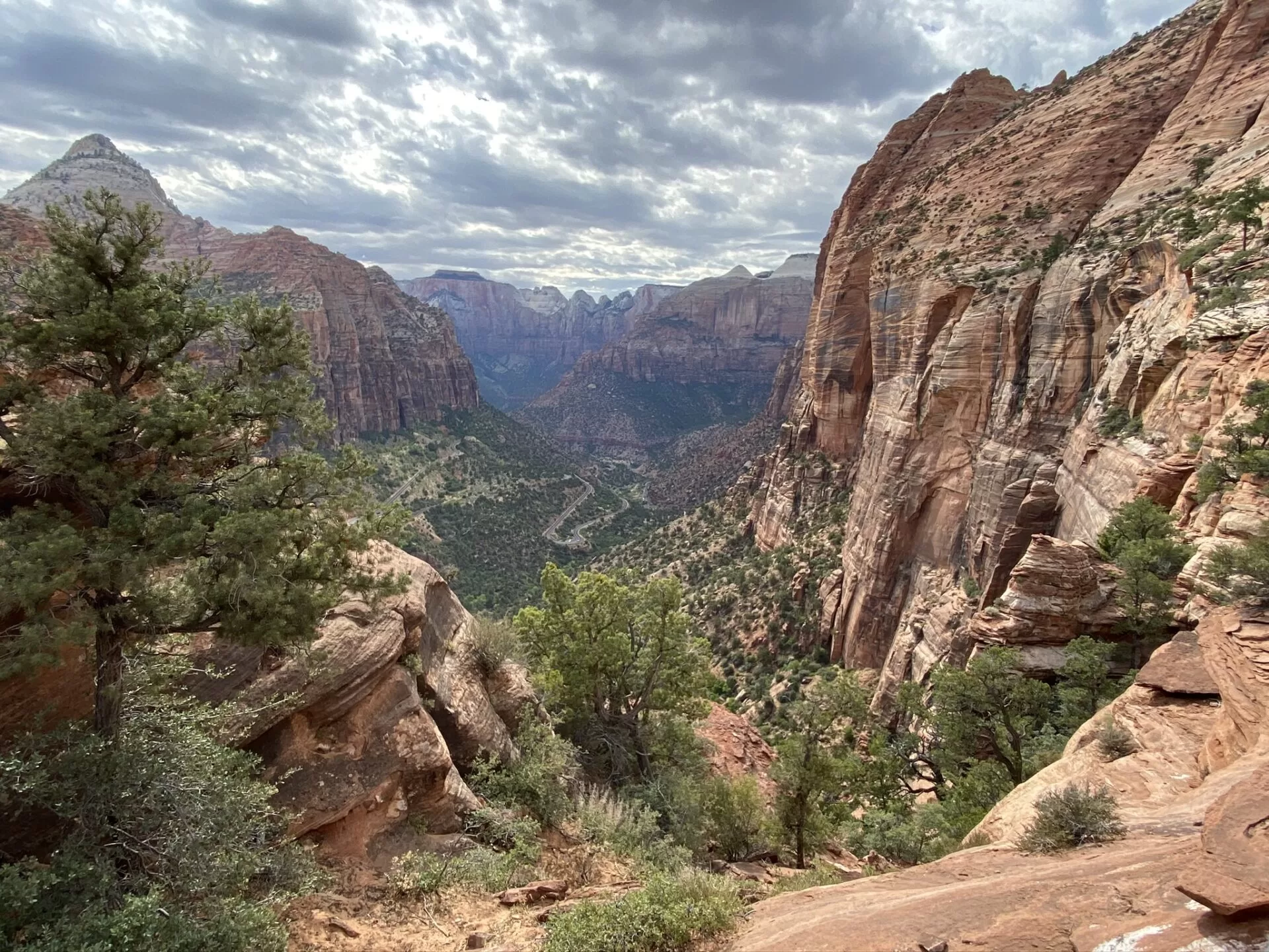 Zion National Park Pine Creek Canyon