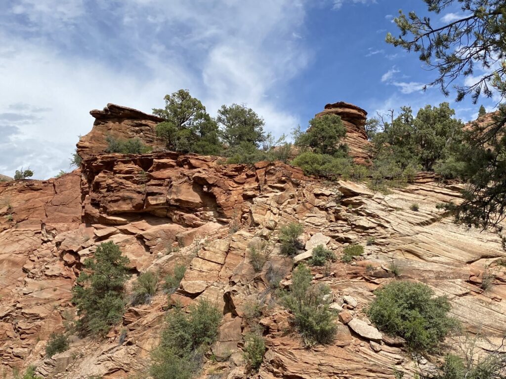 Zion National Park Scenery Utah