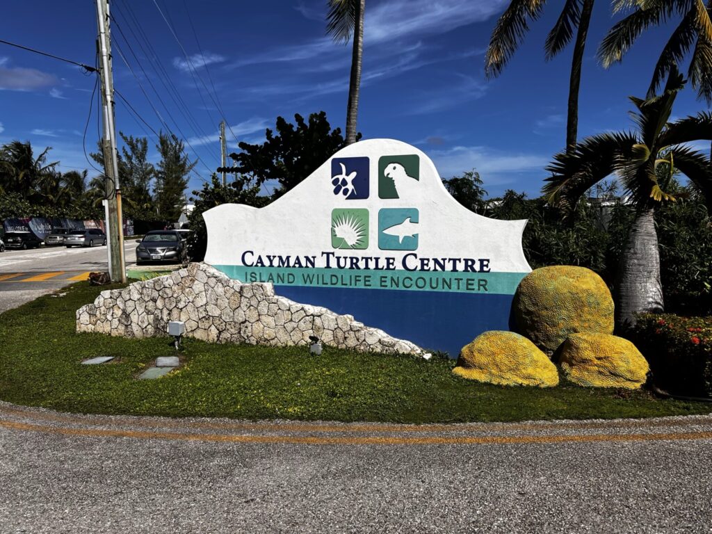 Cayman Turtle Center