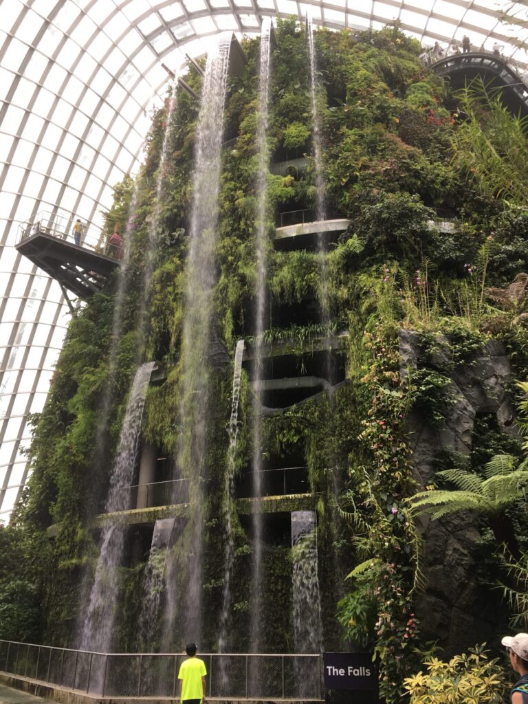 Cloud Forest Gardens by the Bay