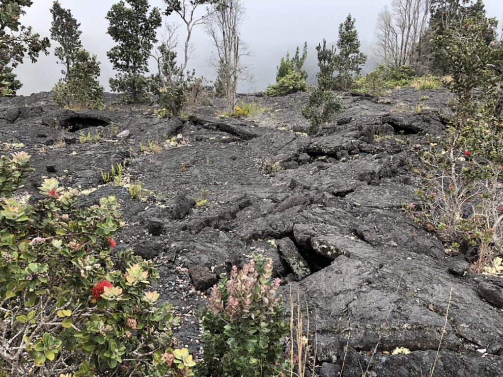 Lava Flows Big Island Hawaii