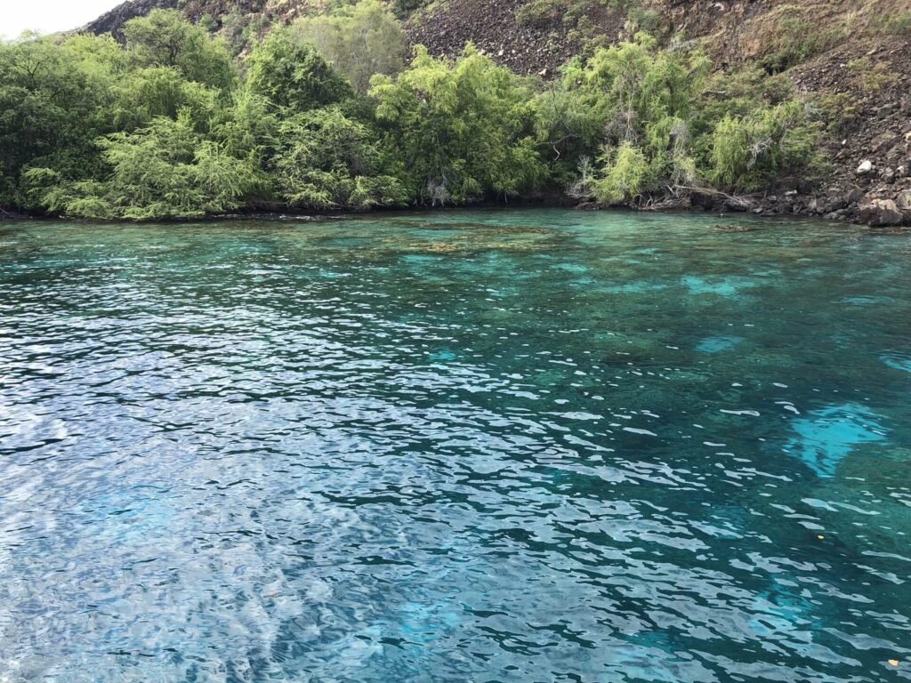 Kealakekua Bay Marine Life Conservation District Big Island