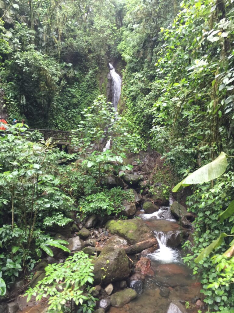 Rainforest Waterfall Costa Rica