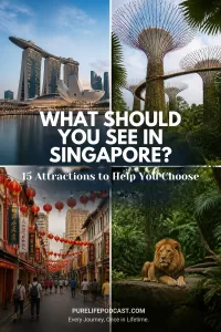 Best Things to Do in Singapore