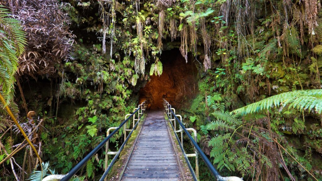 Big Island Hawaii Thurston Lava Tube