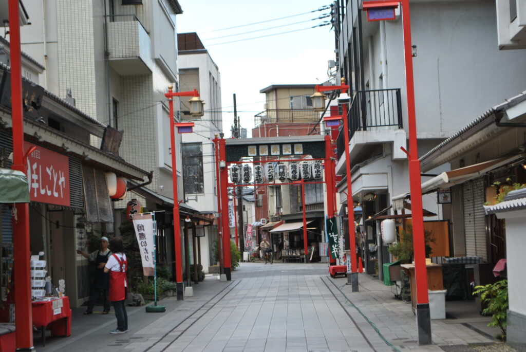 Tokyo Streets Japan