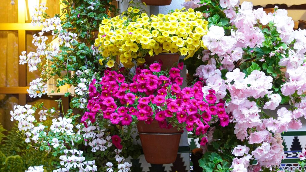 Floral Courtyard Cordoba