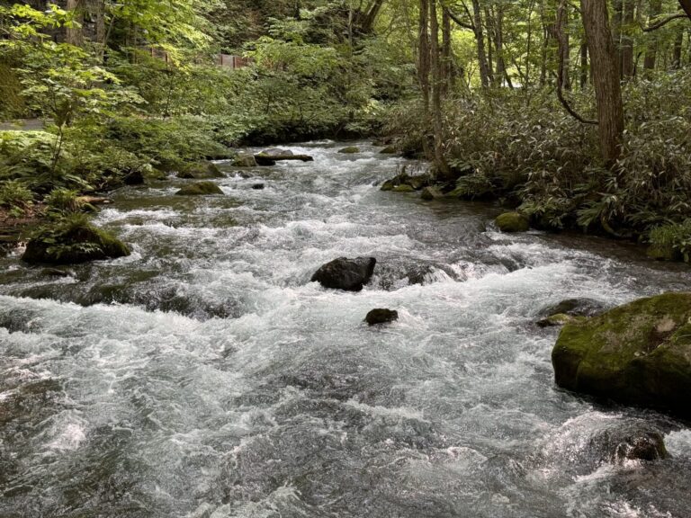 Oirase Gorge Japan Travel Guide