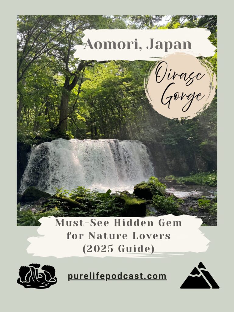 Oirase Gorge Japan Travel Guide: A Must-Visit Hidden Gem in Japan’s Tohoku Region