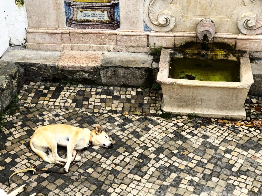 Sintra Portugal