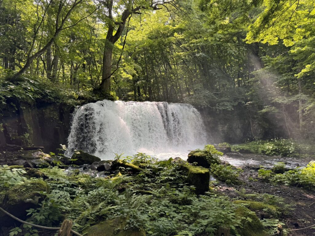 Waterfall Oirase Gorge Japan