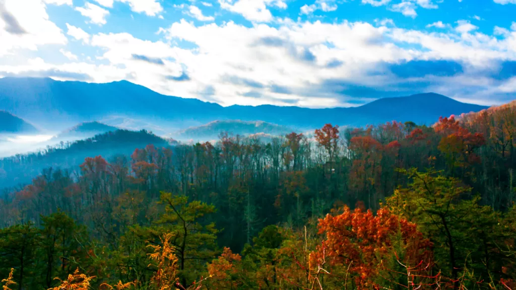 Great Smokey Mountains Fall