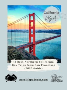 Top Northern California Day Trips