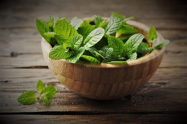 Mint Leaves