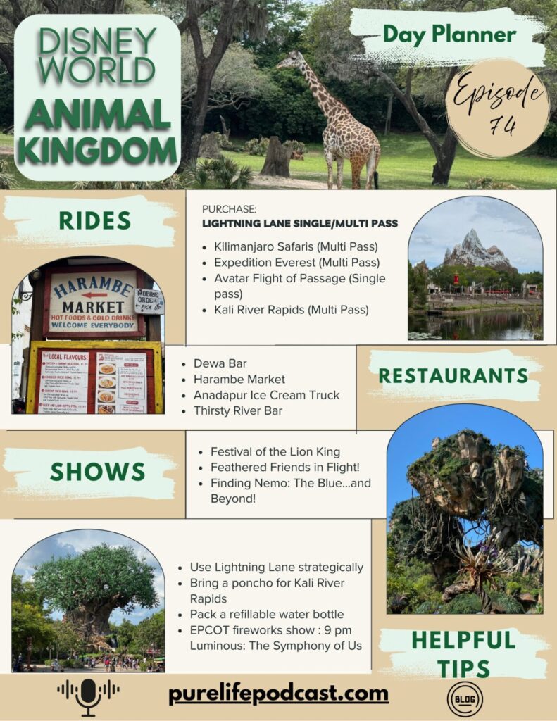 Episode 74: Disney Like a Pro - Ultimate Animal Kingdom to Epcot Afternoon