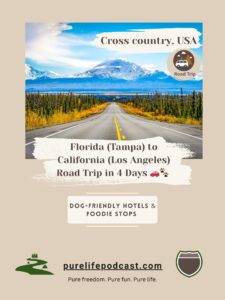 Fastest Tampa to Los Angeles Road Trip